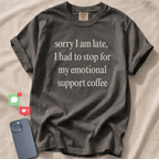 Sorry I am late... T-Shirt
