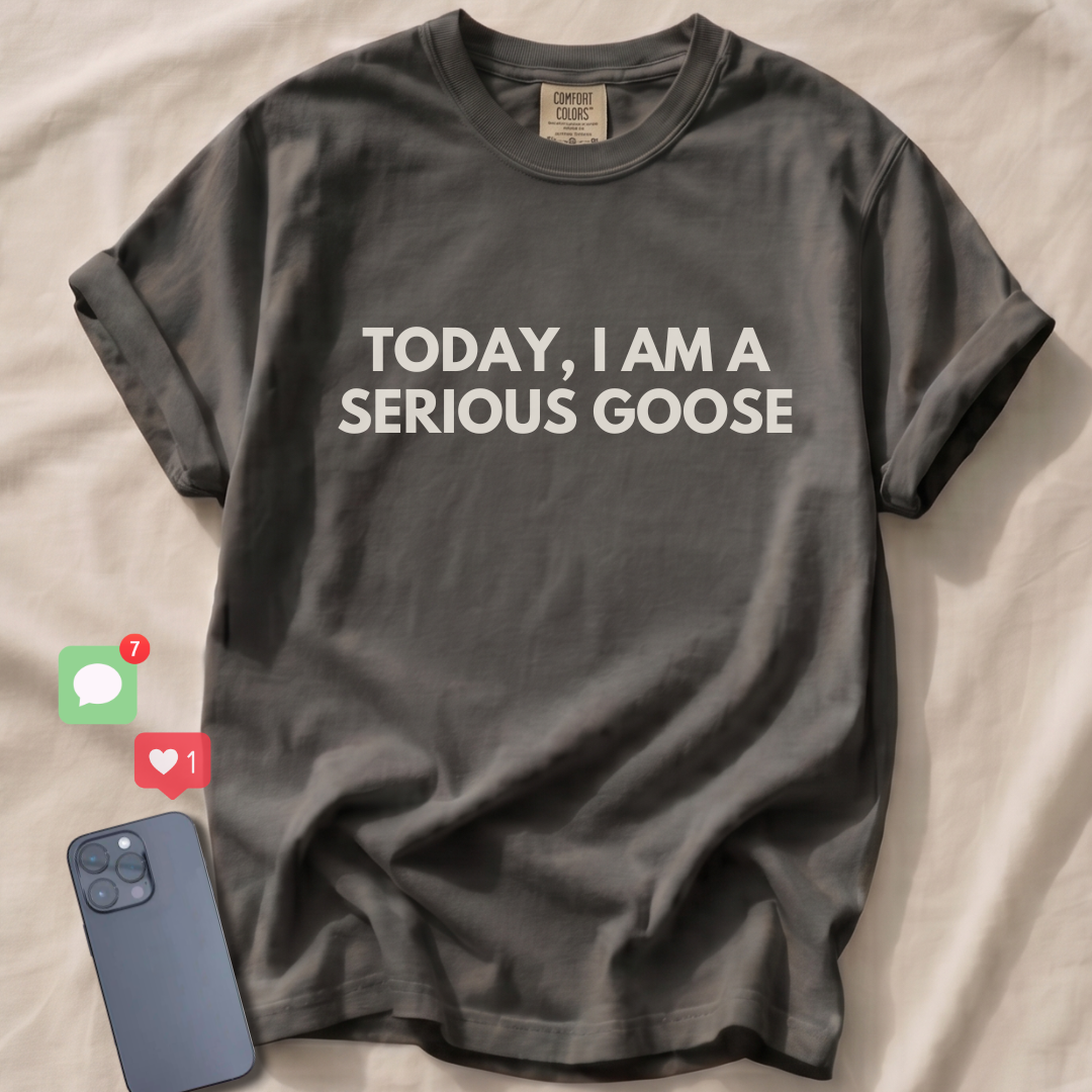 TODAY, I AM A SERIOUS GOOSE T-Shirt