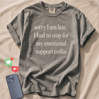 Sorry I am late... T-Shirt
