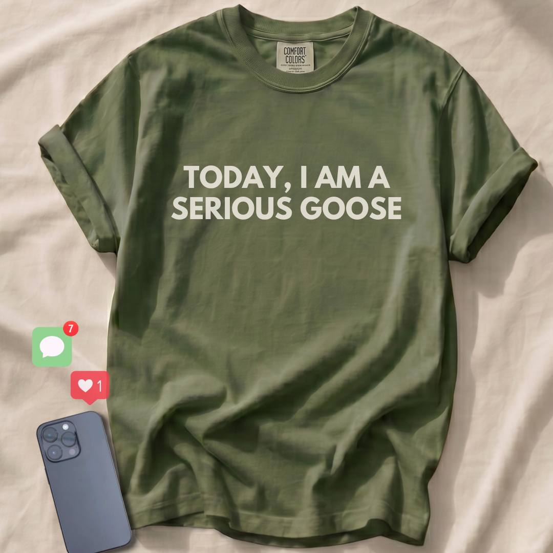 TODAY, I AM A SERIOUS GOOSE T-Shirt
